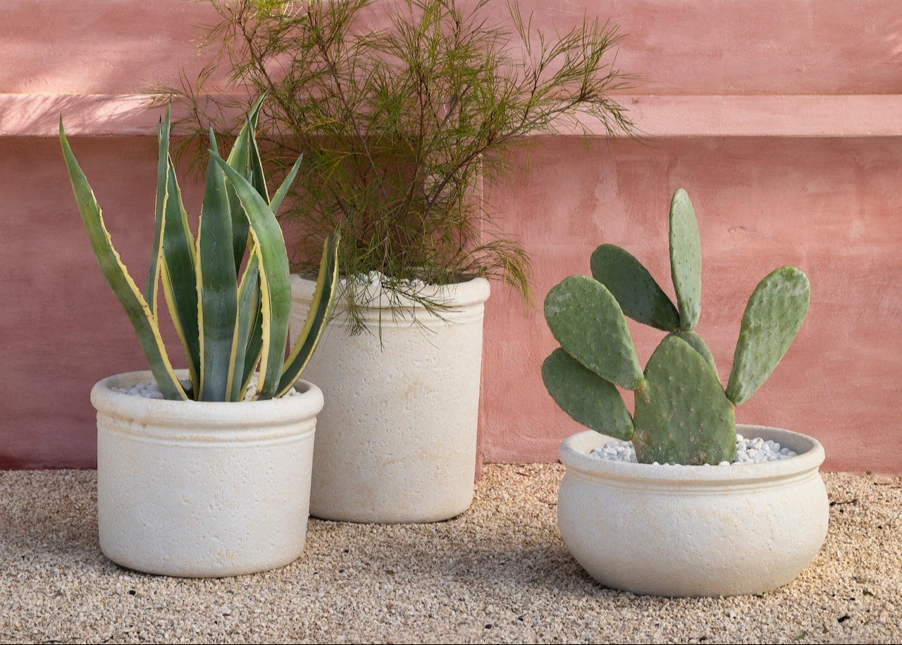 VASAR - CIOTOLA POROSA AGRIGENTO - CTPO/CIPO