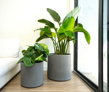 VASAR - CITY COLLECTION CLRG